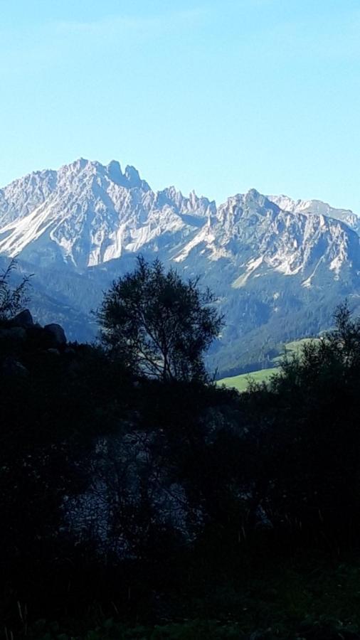 Appartamenti Patrizia San Pietro di Cadore Luaran gambar