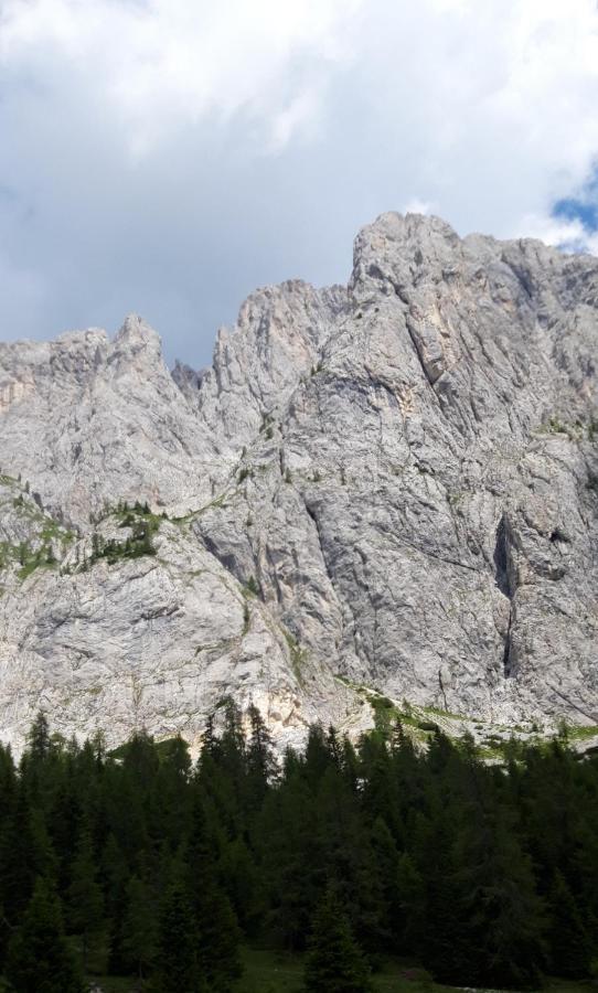 Appartamenti Patrizia San Pietro di Cadore Luaran gambar