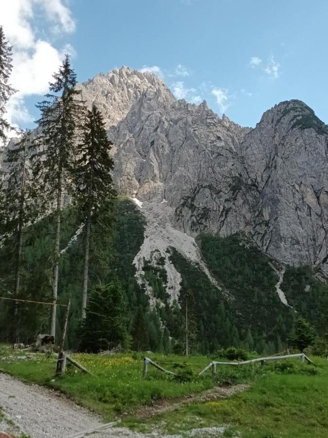 Appartamenti Patrizia San Pietro di Cadore Luaran gambar