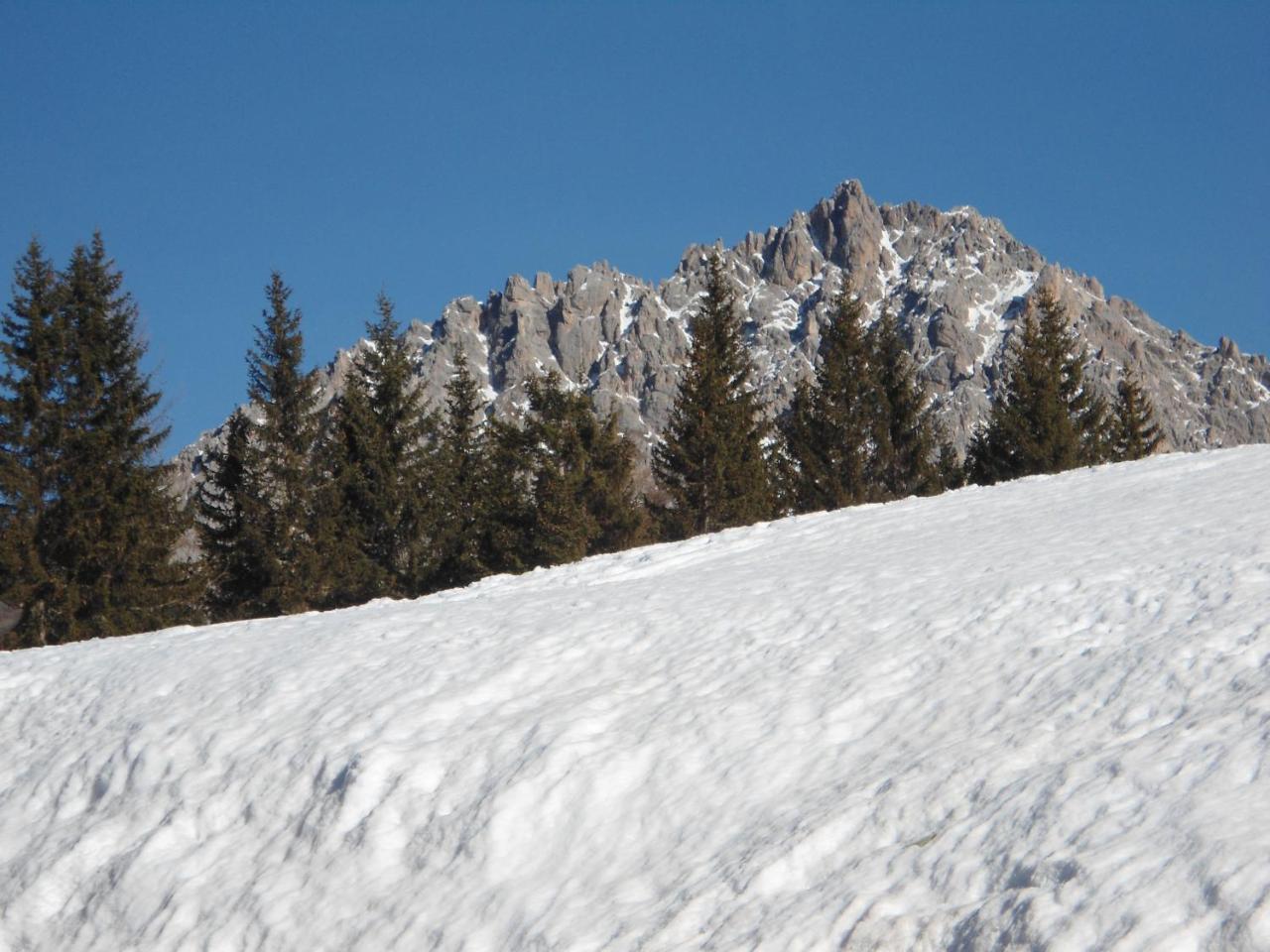 Appartamenti Patrizia San Pietro di Cadore Luaran gambar